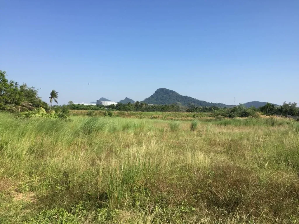 ขายถูก ที่ดินบางเสร่ ติดสวนนงนุช วิวเขาชีจรรย์ ติดถนน หลังติดคลอง ติดทางรถไฟ