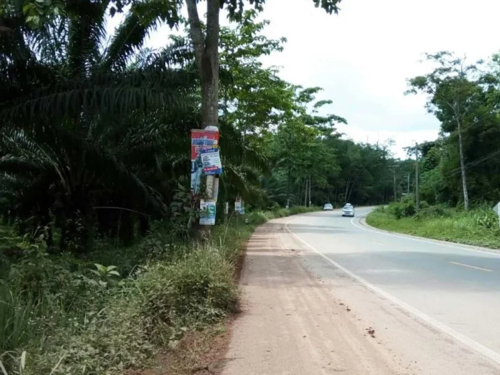 ที่ดินใจกลางเมืองกระบี่ใก้ลสนามบินห้างสรรพสินค้า ซอยวัดถ้ำเสือ