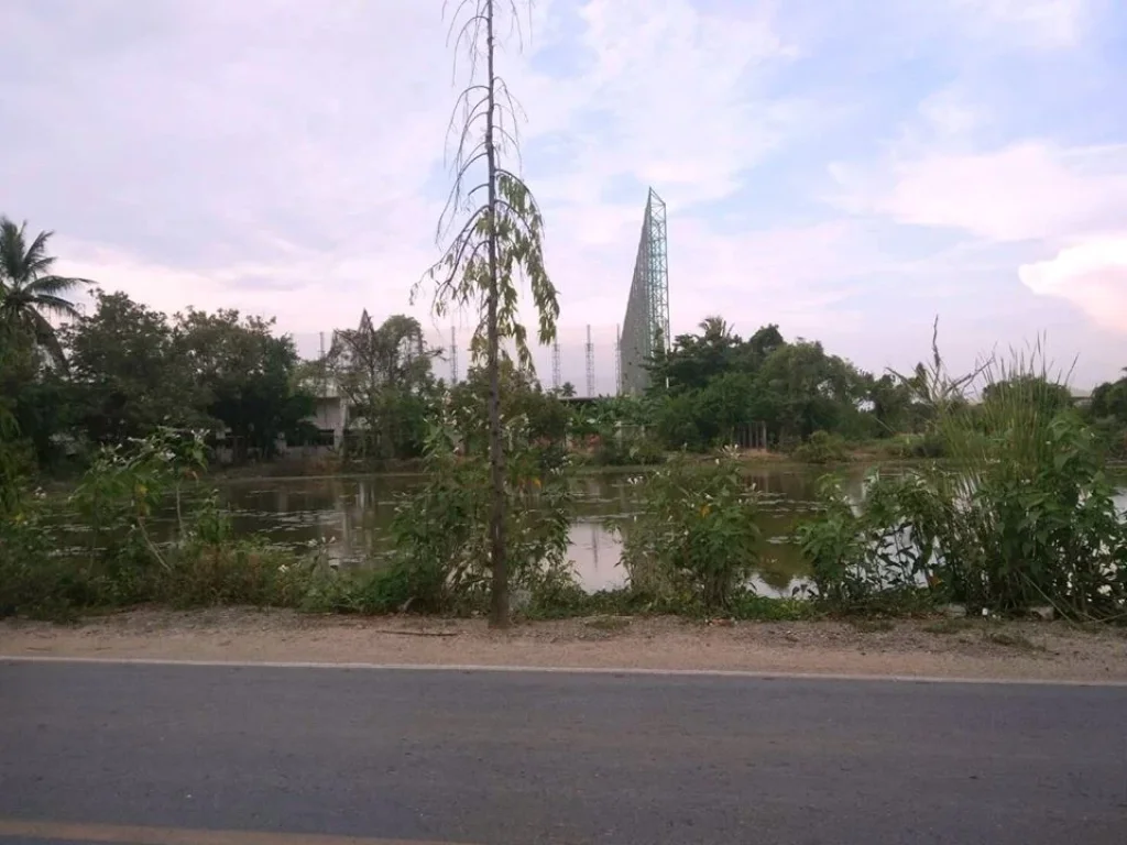 ขายที่ดินเปล่าติดถนนบางเชือกหนัง - ถนนพุทธมณฑล สาย 1