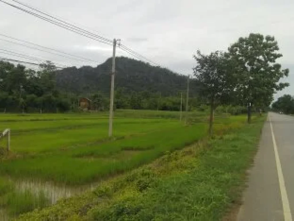 ที่ดินกลางดงทุ่งเสลี่ยม ทำเลสวยสุดสุด บรรยากาศขุนเขาและธรรมชาติ 2ไร่1งาน ติดถนนหลวงแผ่นดิน1048สายสวรรคโลก-ทุ่งเสลี่ยม-ลำปาง หน้ากว้างมากเลาะตามถนนแผ