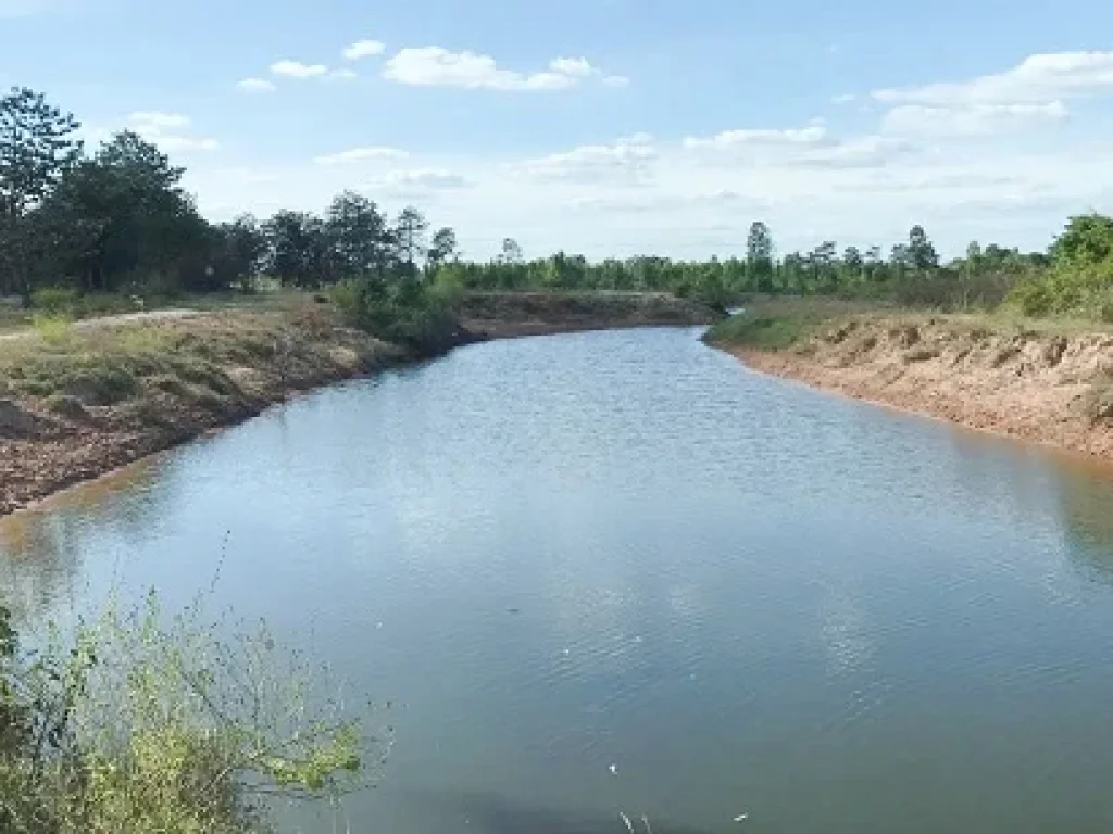 ที่ดินท้ายบ้านเป็ด ฝั่ง เทศบาลบ้านเป็ด ใกล้บึงกี อเมืองขอนแก่น