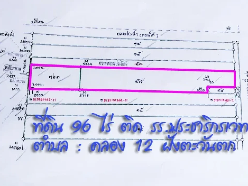 ที่ดินหนองเสือ 96 ไร่ คลอง 12 ฝั่งตะวันตก ตหนองสามรัง ปทุมธานี