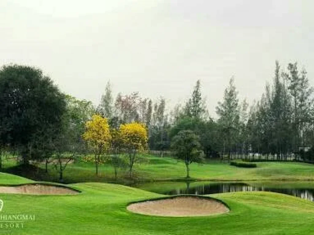 ขายสนามกอล์ฟ และรีสอร์ท 5 ดาว The Royal Chiangmai Golf ampamp Resort จเชียงใหม่