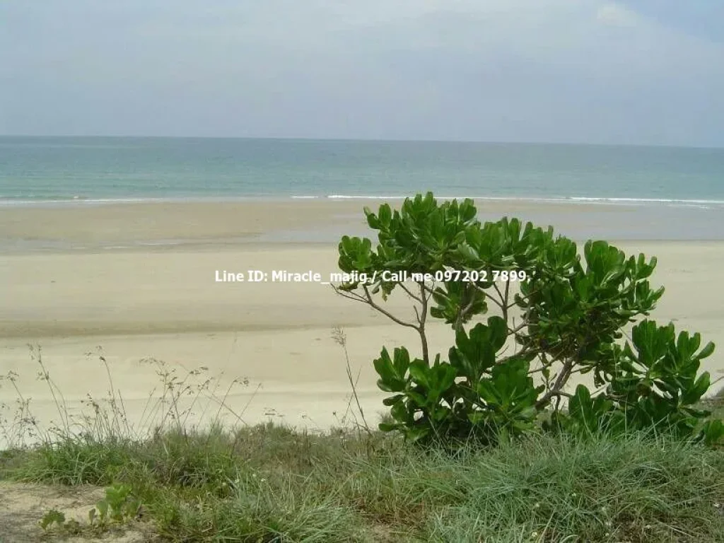 ขายที่ดินริมทะเลหาดดอนสำราญ