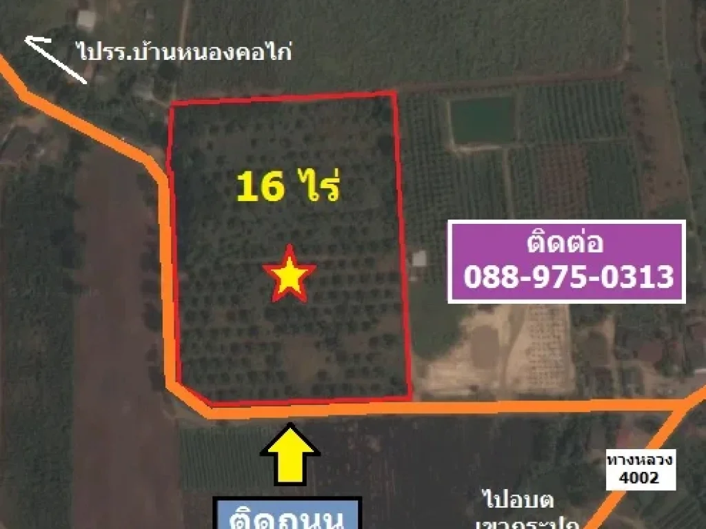 ขายที่ดิน 16 ไร่ ใกล้ อบตเขากระปุก เห็นวิวเขา ติดถนนลาดยาง 2 ด้าน