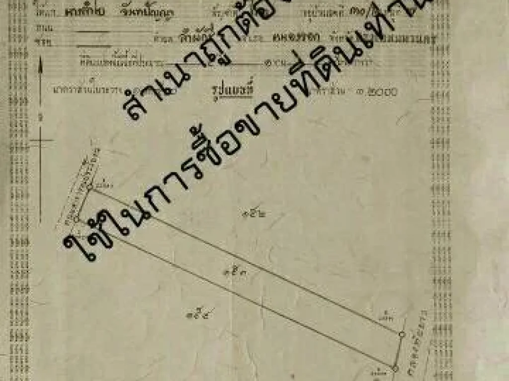 ppj90l21 ขายที่ดิน 5 ไร่ 1 งาน 96 ตรว ติดถนน