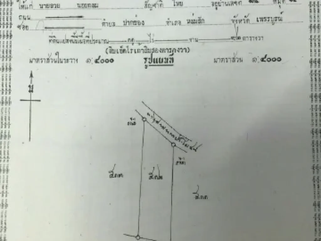 ขายที่ดินป่าสักอายุสักประมาณ18ปี เนื้อที่ 38 ไร่ จเพชรบูรณ์