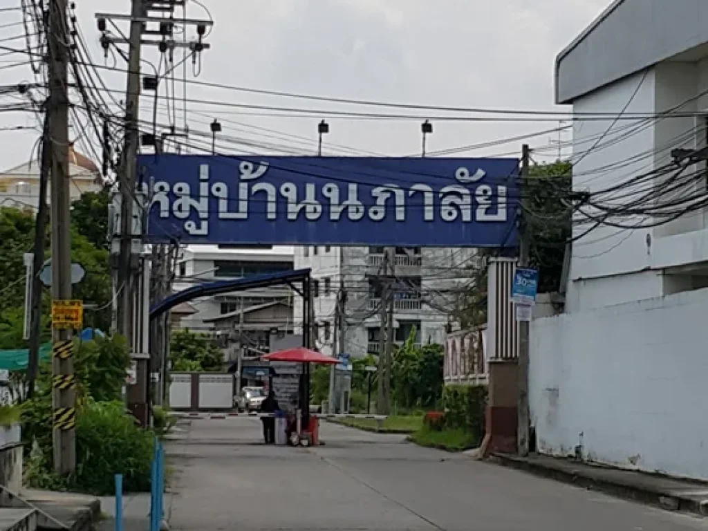 ขาย ที่ดิน ซอยสุขุมวิท703 76 ตรวา ห่างจากสถานี BTSบางนา เพียง 800 เมตร