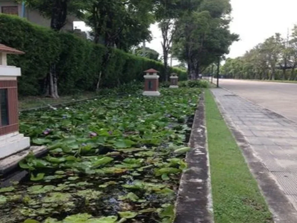 ขายบ้านเดี่ยวสวย 2ชั้น พร้อมอยู่หรูหราดูเลิศ 70 ตรว 3ห้องนอน 3ห้องน้ำ ถกิ่งแก้ว บางพลี สมุทรปราการ