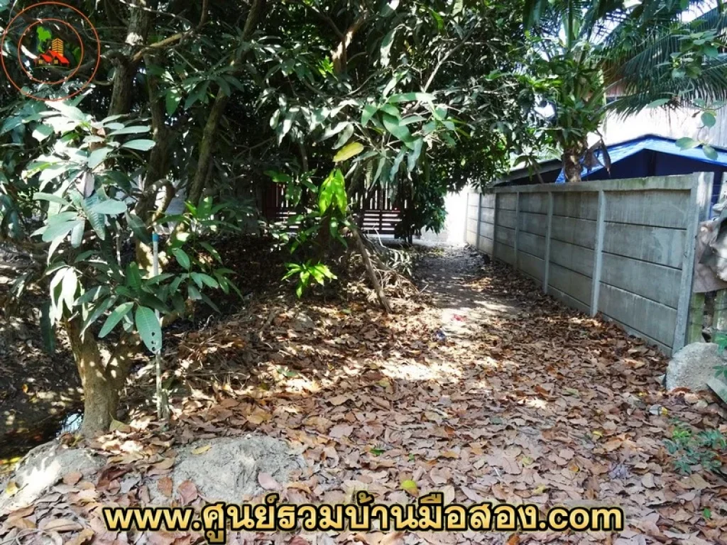 ขายที่ดินสวนมะพร้าว 2843 ตรว ซอยบางป่า 47 จังหวัดราชบุรี