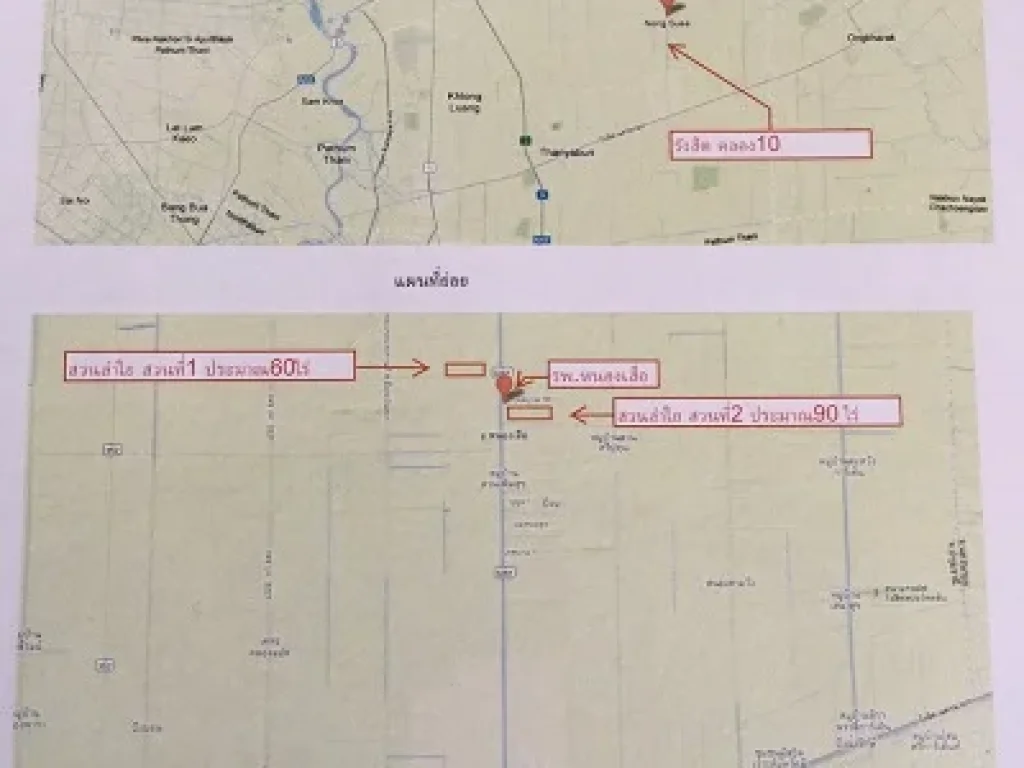 ขายที่ดินสวนลำใย 90ไร่ คลอง 10 ติดถนน ใกล้ รพหนองเสือ ปทุมธานี