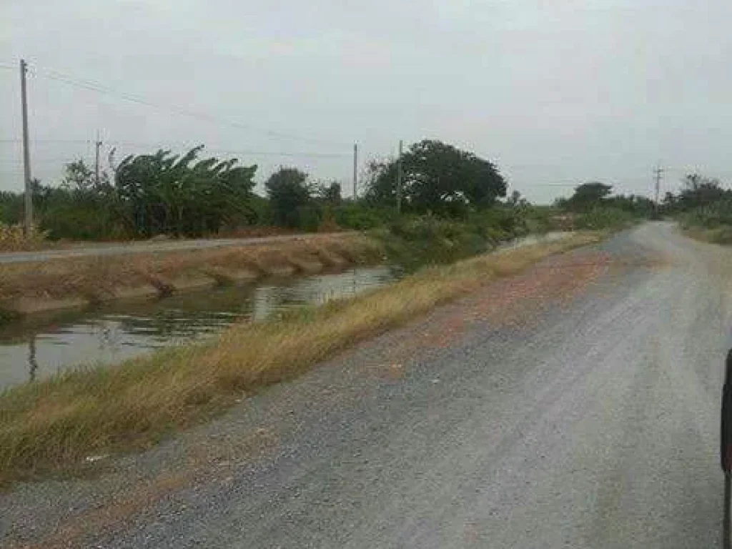 ขายที่ดินจังหวัดสุพรรณบุรี