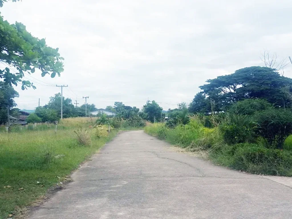 ขายที่ดิน 16 ไร่ และบ้านไม้สักทั้งหลัง และโรงงานการ์เมนต์