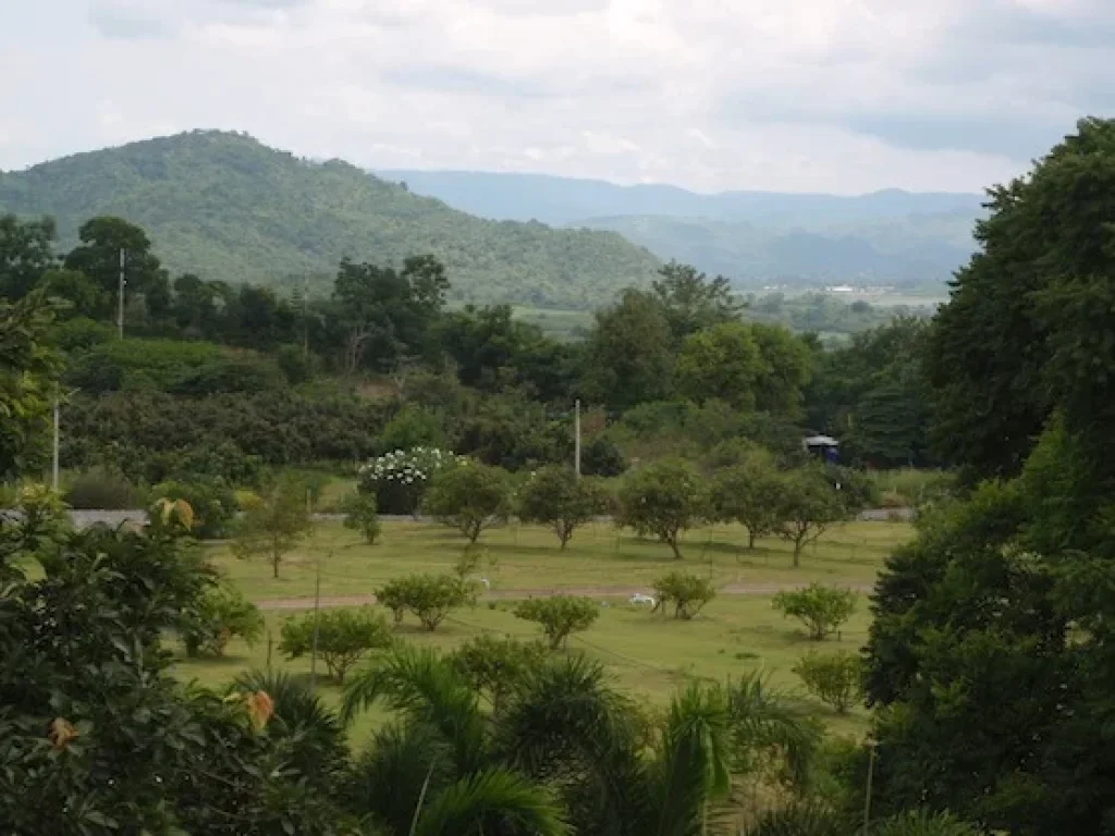 ขาย ampquotสวนสวรรค์ampquot บ้านพักท่ามกลางธรรมชาติสวยงามที่สุด ที่ปากช่อง นครราชสีมา มีรูป