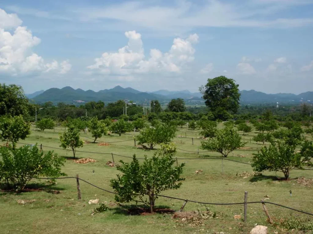 ขาย ampquotสวนสวรรค์ampquot บ้านพักท่ามกลางธรรมชาติสวยงามที่สุด ที่ปากช่อง นครราชสีมา มีรูป