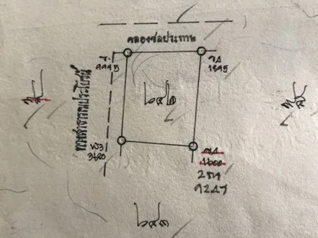 ขายที่ดิน 100 ตรวา หลังเทศบาลตำบลป่าไผ่ อสันทราย เชียงใหม่