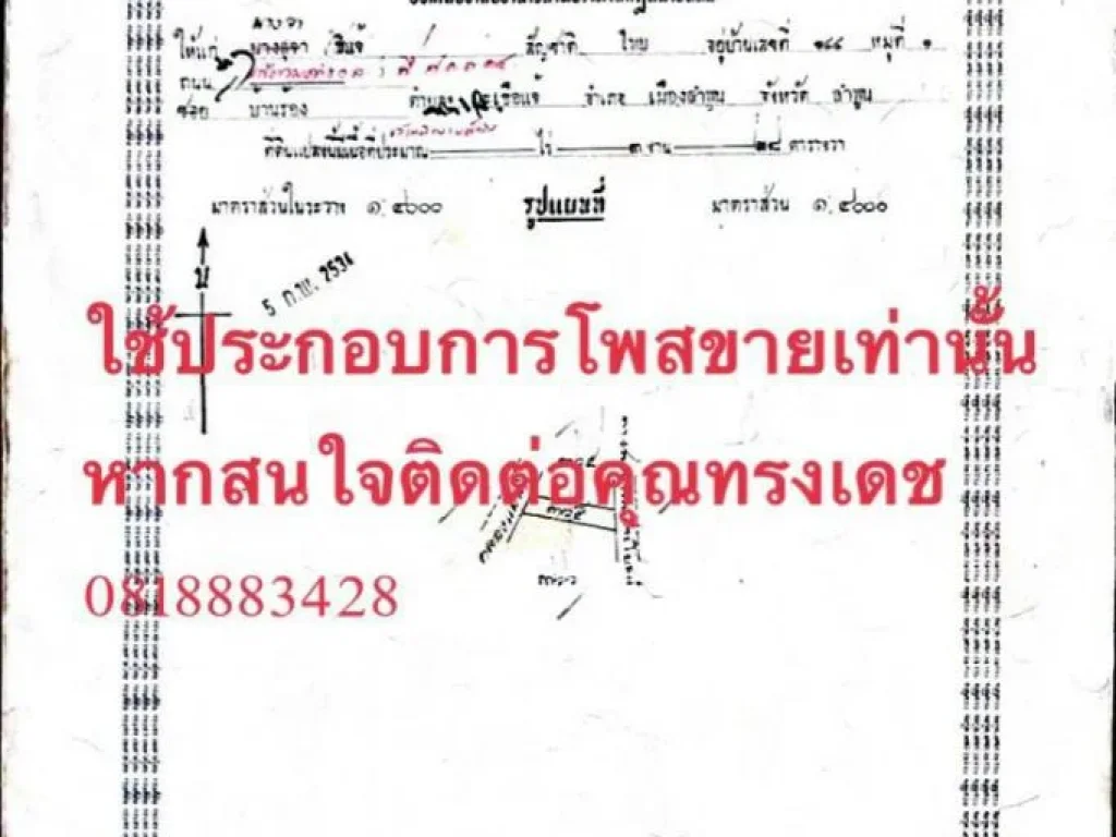 ขายที่ดินสวนลำใย ติดถนน มีลำเหมืองน้ำตลอดปี บริเวณ อเมือง ลำพูน