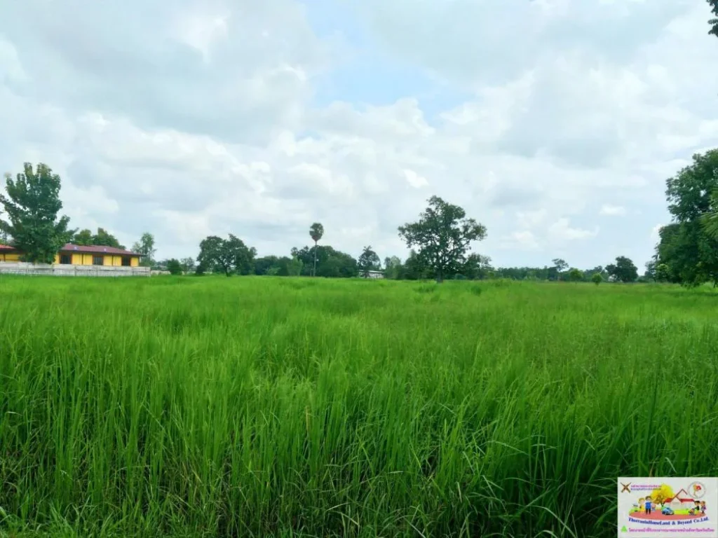 ที่นาติดถนนบ้านกอกน้อย-โคกฟันโปง ตบ้านเป็ด อเมืองขอนแก่น