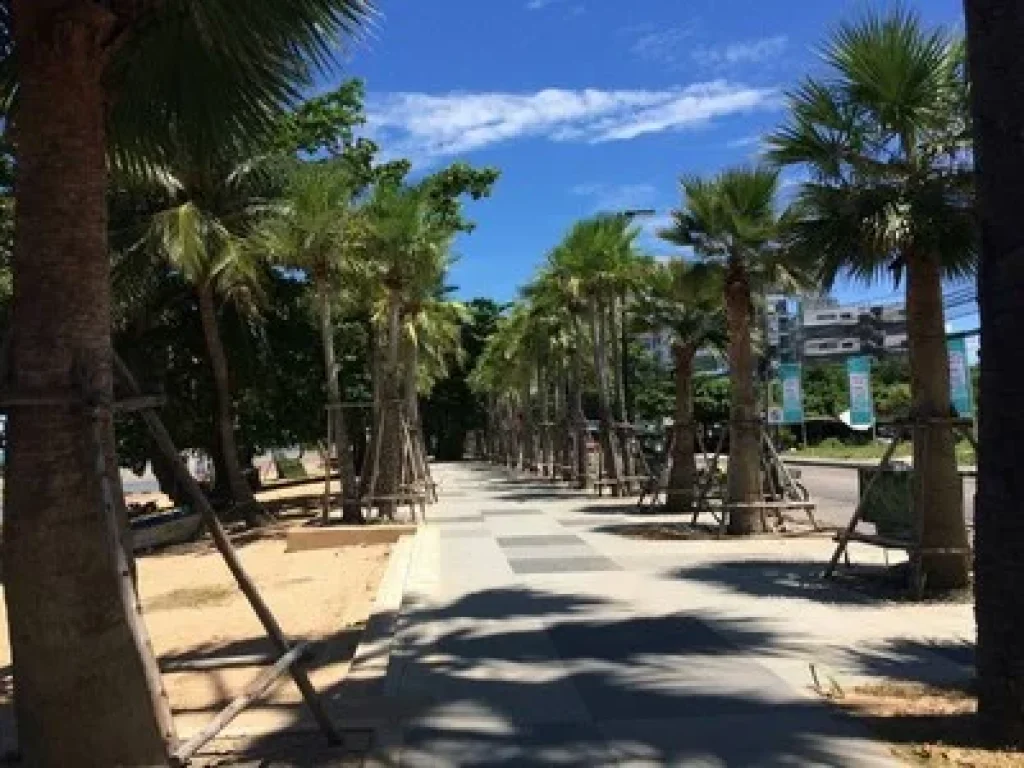 คอนโด Cetus Beachfront Pattaya วิวหน้าหาดจอมเทียนพัทยา ห่างหาด 50เมตร