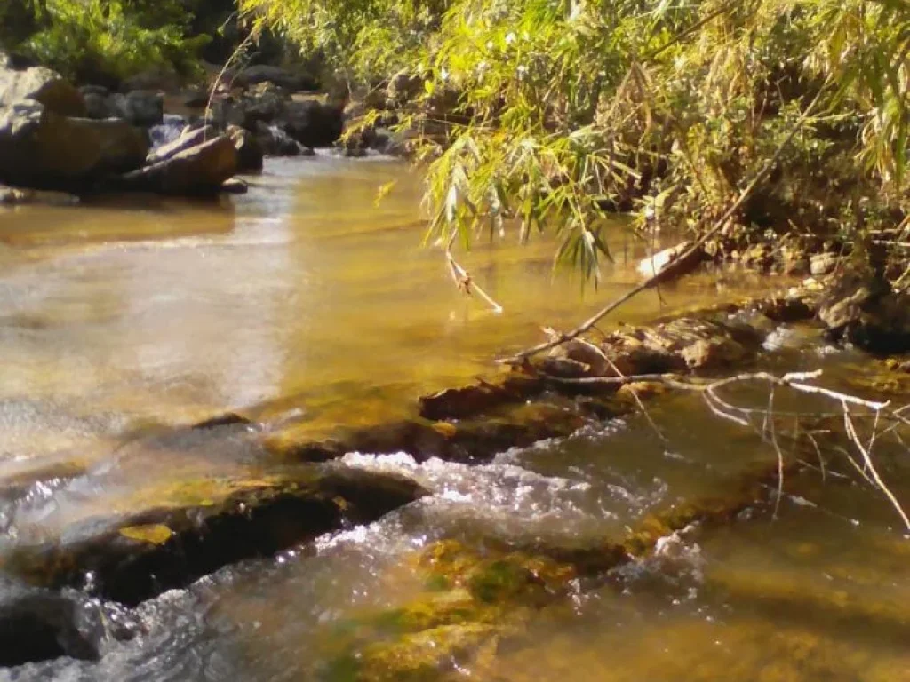 ที่ดินติดลำธารสวย