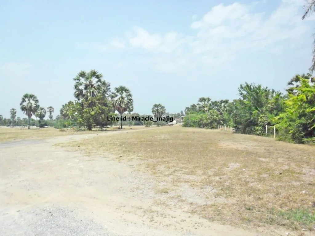 ที่ดินหน้าชายหาดทำโรงแรมห้างสรรพสินค้า