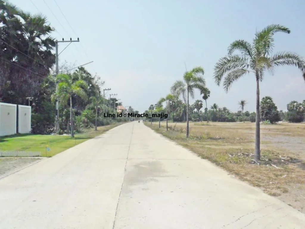 ที่ดินหน้าชายหาดทำโรงแรมห้างสรรพสินค้า