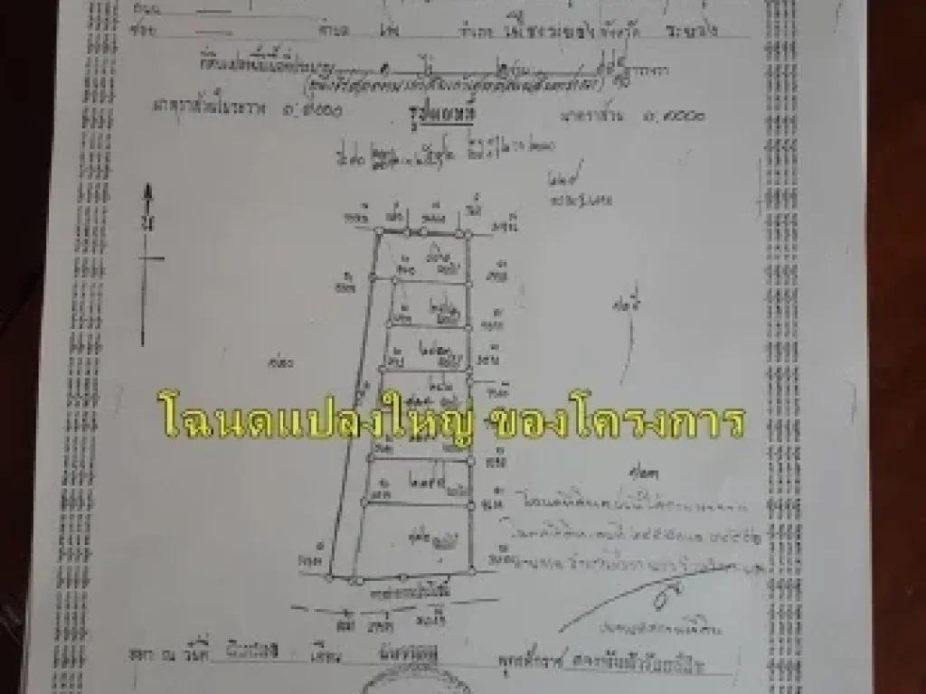 ขายที่ดินศาลาสังกะสีพร้อมโครงการบ้านกึ่งรีสอร์ท บ้านเพ จระยอง