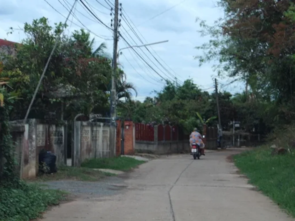 บ้านใหม่สไตล์รีสอร์ท บรรยากาศธรรมชาติร่มรื่น บนเนื้อที่ 197 ตรว ในเขตเทศบาลดอยสะเก็ด-ใกล้ตัวเมืองเชียงใหม่และสนามบิน