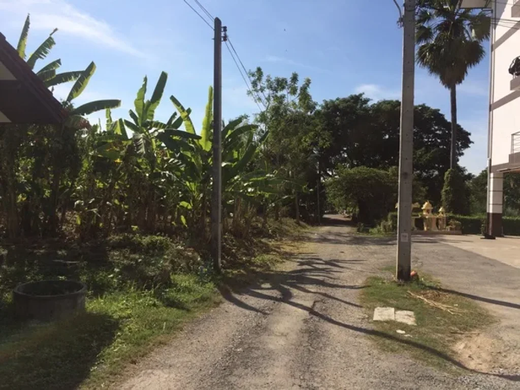 ขายที่ดิน 156 ตรว เจ้าของขายเอง ทำเลดี ใกล้แยกวุ่นวาย 300 เมตร