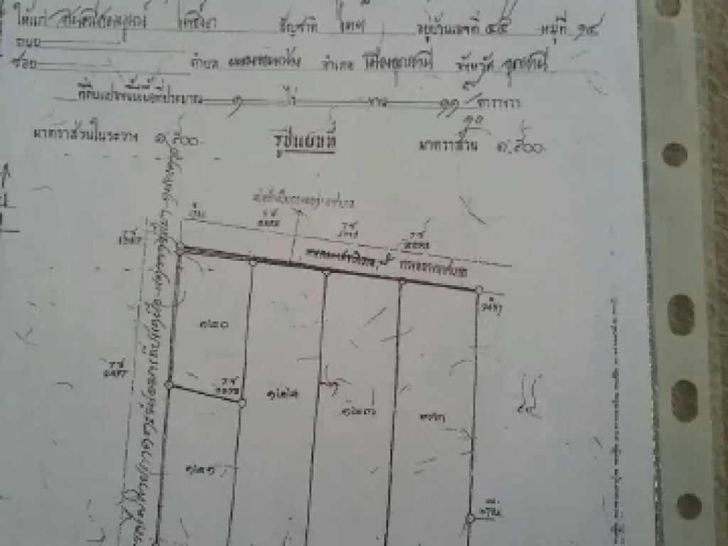 ขายที่ดิน ใจกลางเมืองอุดร 1ไร่11 ตรวอเมือง จอุดรธานี