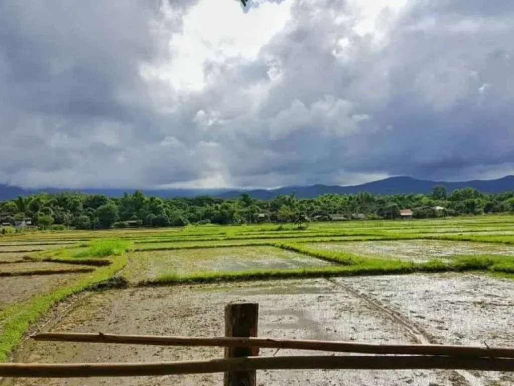 ขายที่ดินแปลงสวยๆ วิวเขา ติดถนนคอนกรีต ไฟน้ำพร้อม ที่ตั้ง ตห้วยทราย อแม่ริม จเชียงใหม่ เนื้อที่ 15 ไร่ 3 งาน 41 ตารางวา ต้องการขายยกแปลง ไร่ละ 135