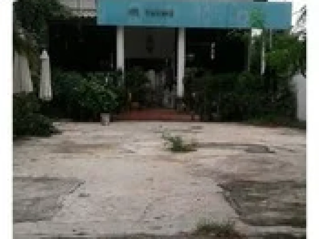 Rent Land size 254 SQWa good for restaurant business near BTS 800 M