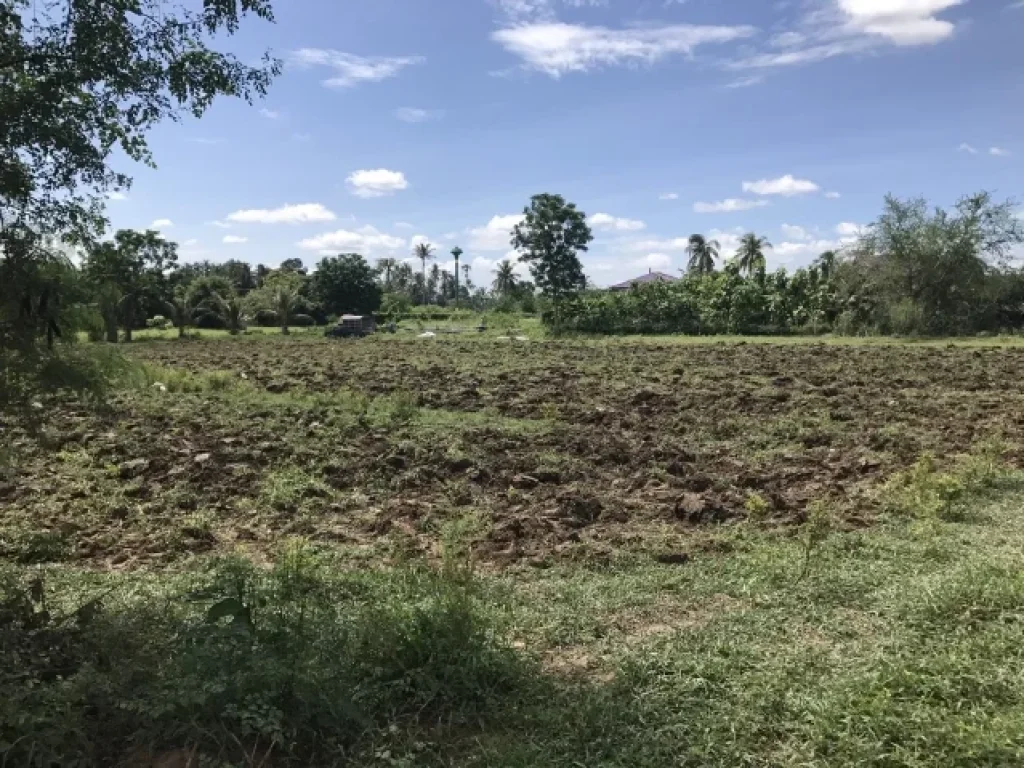 ขายที่ดิน8ไร่บ้านสร้างไปประมาณเกือบ 2ล้านมีแบบบ้านพร้อมให้สร้างต่อ จราชบุรี