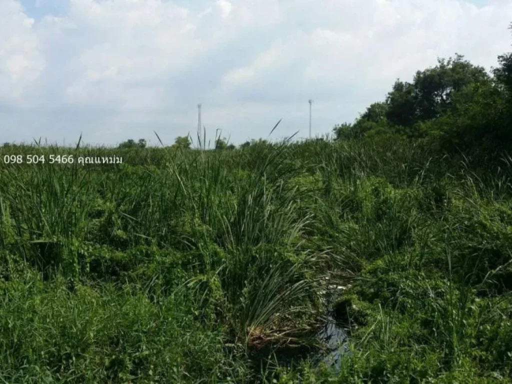 ขายที่ดิน 10 ไร่ ติดถนนพหลโยธิน ขาเข้า ลำไทร อำเภอวังน้อย อยุธยา ใกล้ บ มิตซู ไทยธาดา