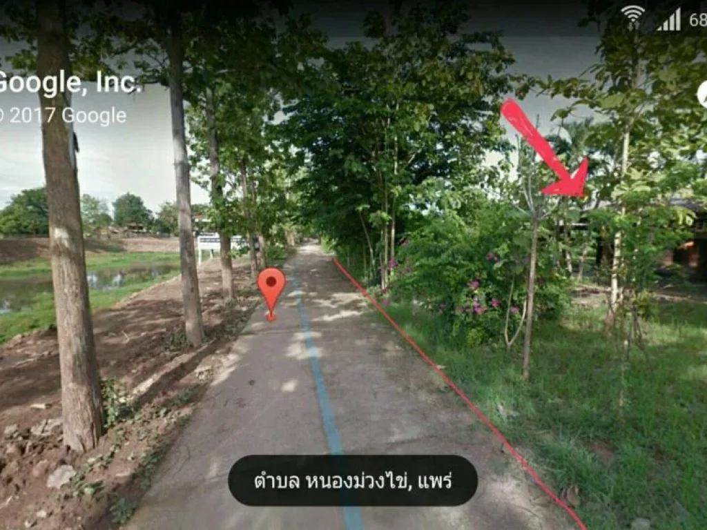 ขายที่ดินเปล่า ตหนองม่วงไข่ อหนองม่วงไข่ จแพร่