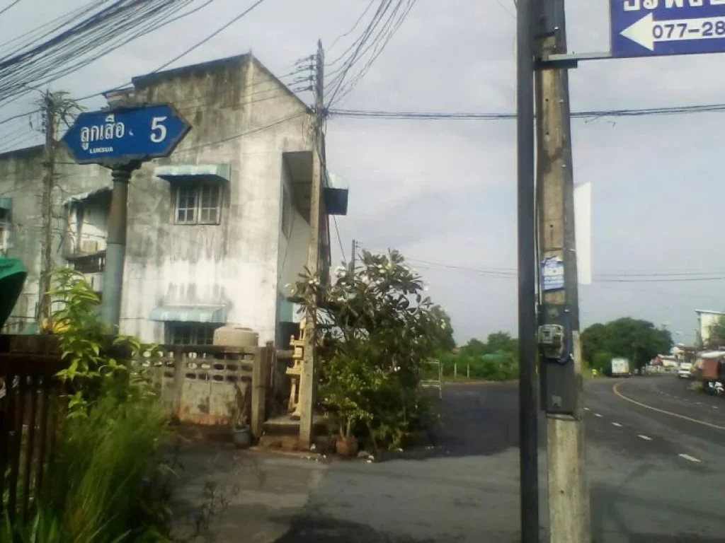 ขายที่ดินเปล่าใล้โรงเรียนเมืองสุราษฎร์ธานี