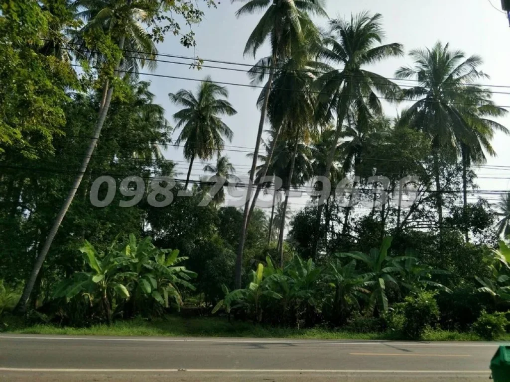 ขายที่ดิน 3-2-63 ไร่ ติดถนนทางหลวง ตลาดน้ำดำเนินสะดวก จังหวัดสมุทรสงคราม