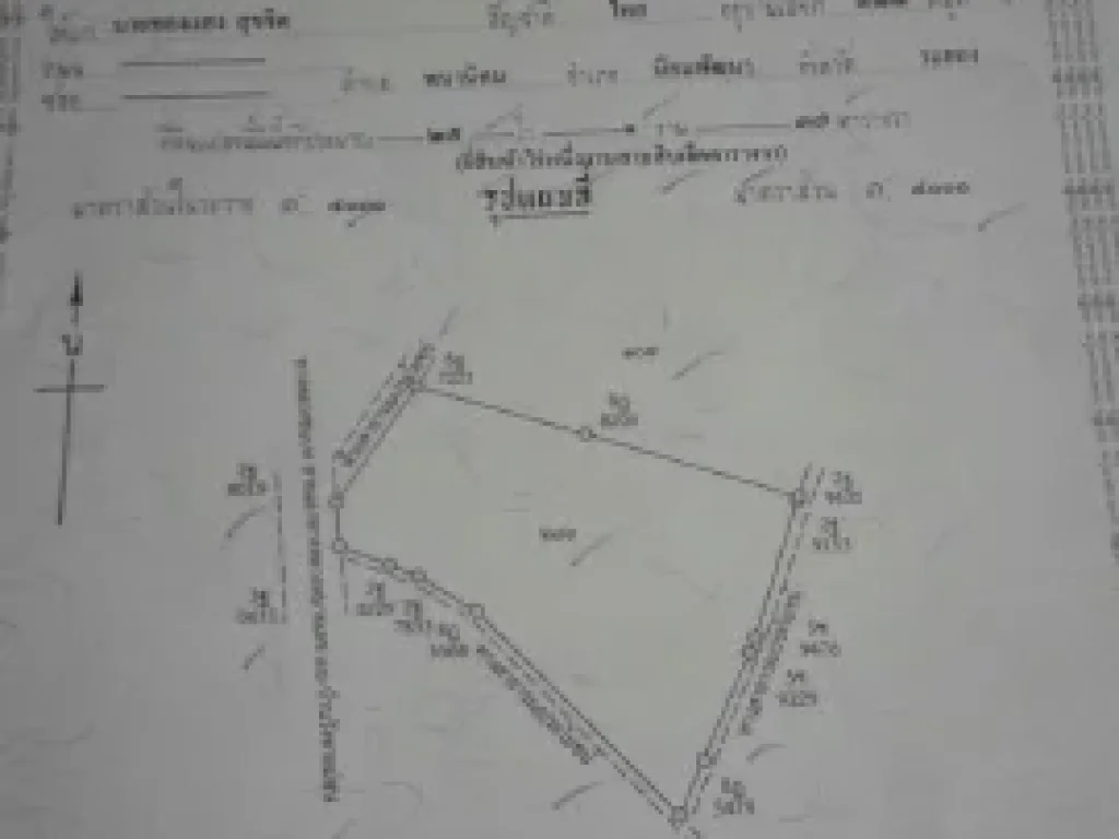 ขายที่ดิน 25-1-37 ไร่ พื้นที่สีม่วง ห่างจากสวนอุตสาหกรรมโรนจปลวกแดง 25กม