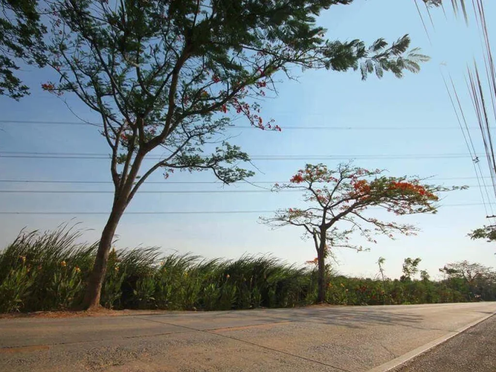 ที่ดินติดถนนซอย วัดสุขใจ เนื้อที่ 32 ไร่