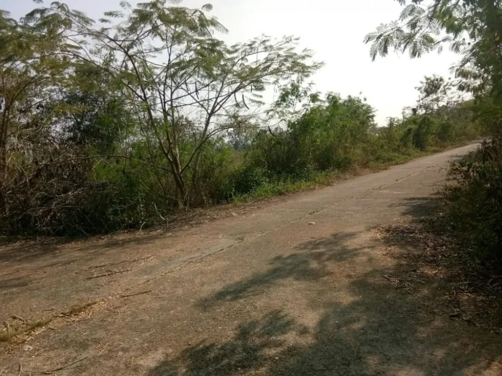 ที่ดินหลังไฟฟ้าสันกำแพง ห่างถนนสันกำแพงสายเก่า 1km