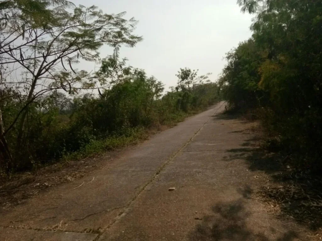 ที่ดินหลังไฟฟ้าสันกำแพง ห่างถนนสันกำแพงสายเก่า 1km