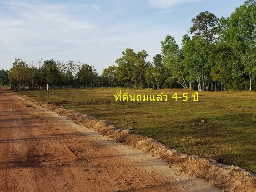 ที่ดินแบ่งขาย ในเขตเทศบาลเมือง ตบัวขาว อกุฉินารายณ์ จกาฬสินธุ์ ทำเลดี