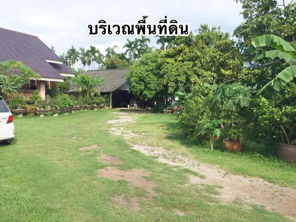 ที่ดินติดเพชรเกษม ราชบุรี สายเก่า