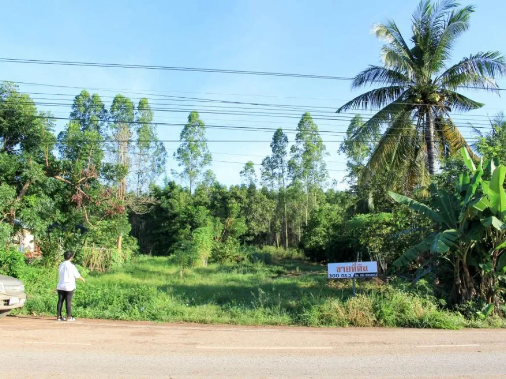 เจ้าของขายเองขายที่ดินติดถนน อเมืองสระแก้ว 2งาน99ตรว