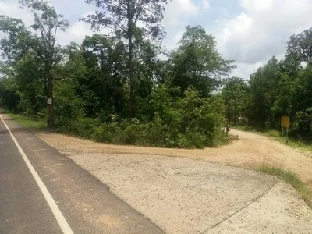 ขายที่ดิน ติดแม่น้ำโขง ใกล้สถานที่ก่อสร้างสะพานมิตรภาพไทย-ลาว แห่งที่ 6