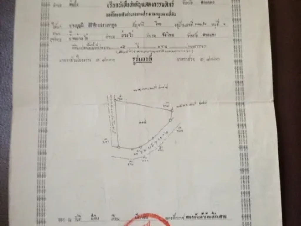 ขายที่ดินโฉนด15ไร่2งาน มีน้ำใช้ตลอดปี จสกลนคร