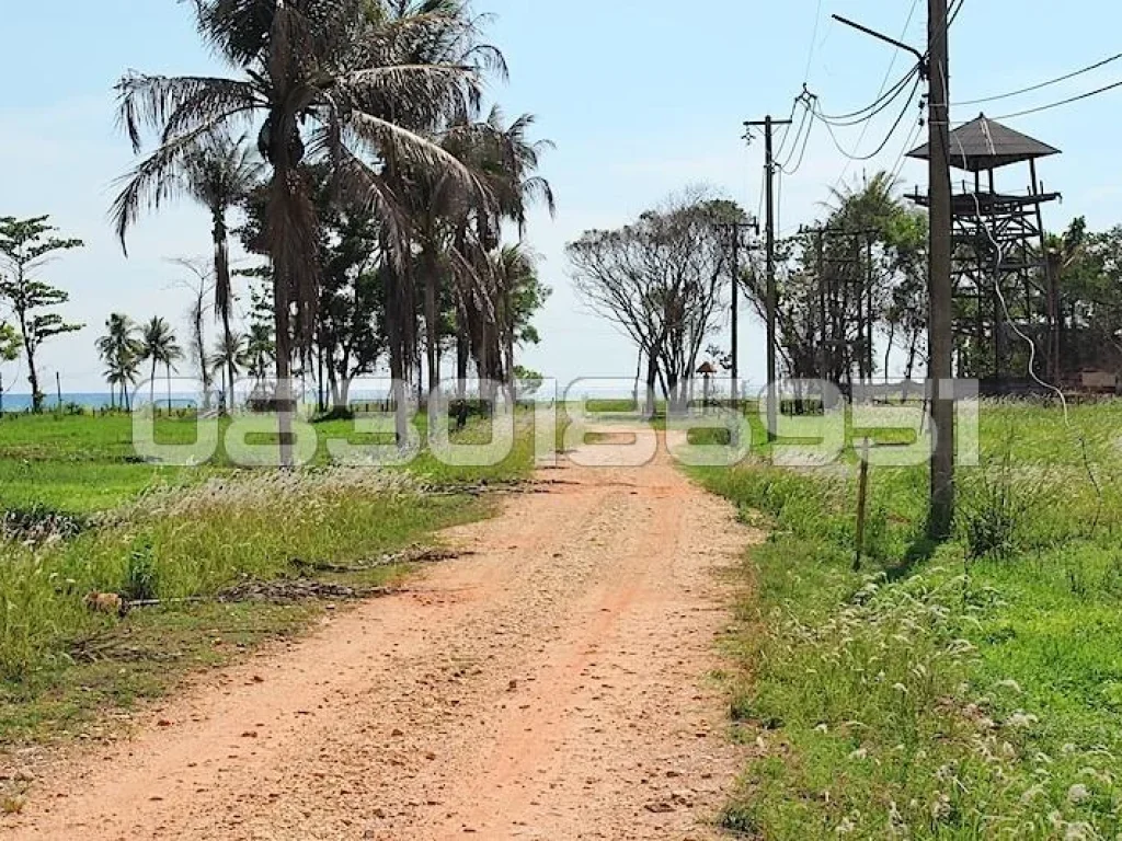 ที่ดิน 37 ไร่ เช่าระะยะยาว หาดบางสัก เขาหลัก จ พังงา