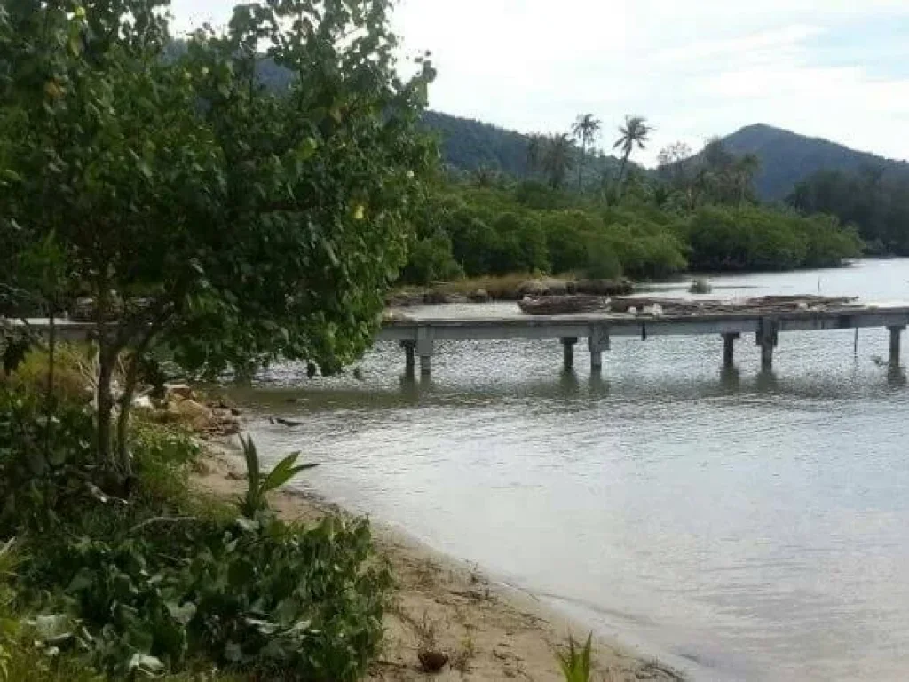 ขายที่โฉนดบนเกาะช้าง ทำเลสวย ใกล้ท่าเรือ เหมาะทำรีสอร์ท โรมแรม