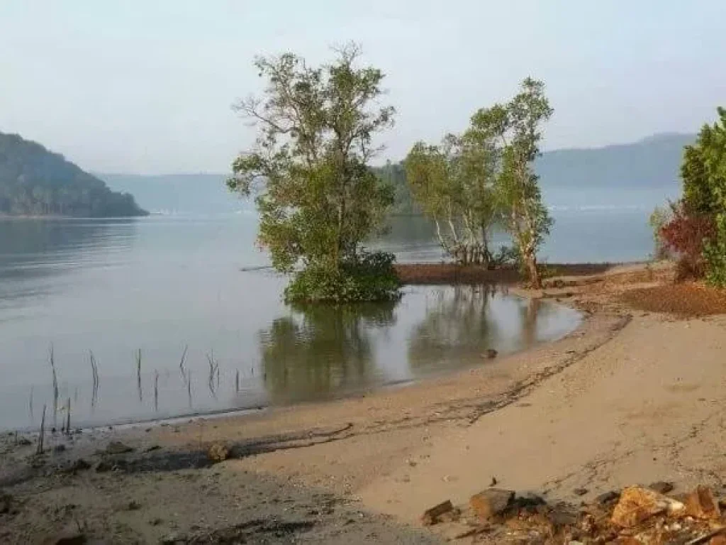 ขายที่โฉนดบนเกาะช้าง ทำเลสวย ใกล้ท่าเรือ เหมาะทำรีสอร์ท โรมแรม