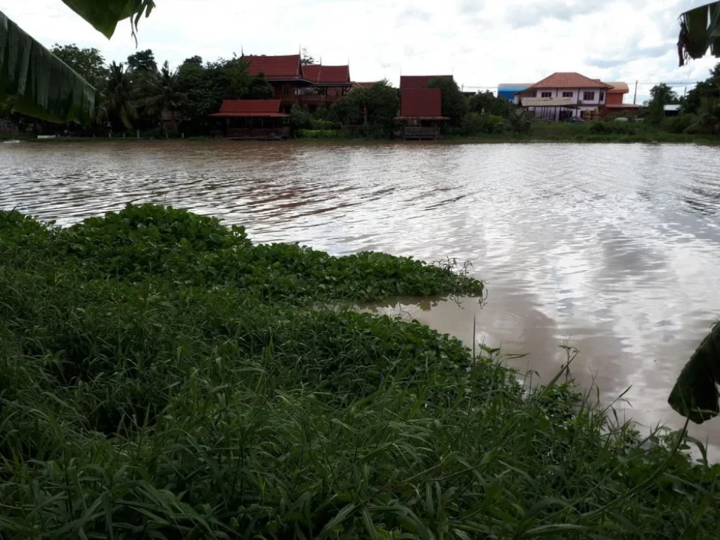 ขายที่ดินติดริมแม่น้ำสวย 5-2-40 ไร่